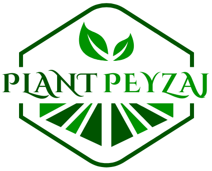 Plant Peyzaj